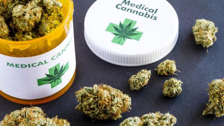 Στην Ολομέλεια της Βουλής το νομοσχέδιο για τη φαρμακευτική κάνναβη Στην Ολομέλεια της Βουλής το νομοσχέδιο για τη φαρμακευτική κάνναβη