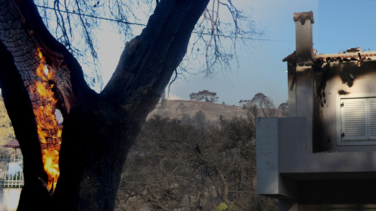 Έγιναν στάχτη 40.000 στρέμματα πυκνού δάσους