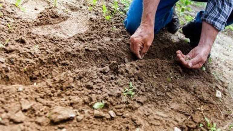 Ανοίγει ο Μεθοριακός Σταθμός Κρυσταλλοπηγής για την είσοδο εργατών γης