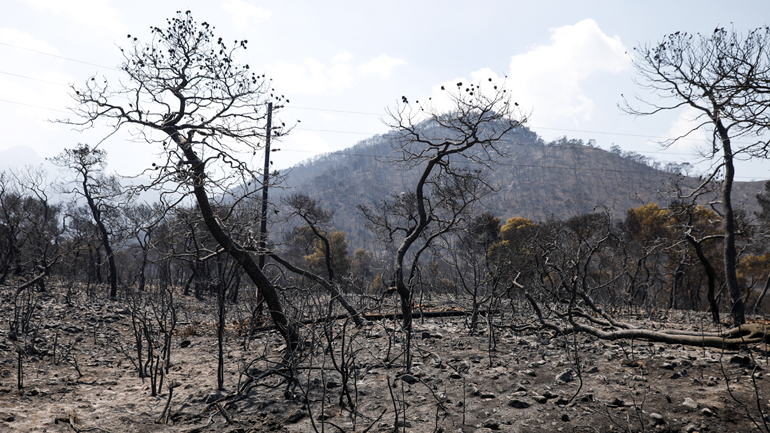 Έγιναν στάχτη 70.000 στρέμματα δάσους στα Γεράνεια