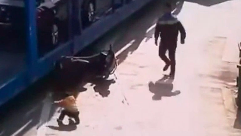 Πατέρας και γιος παρασύρονται από νταλίκα