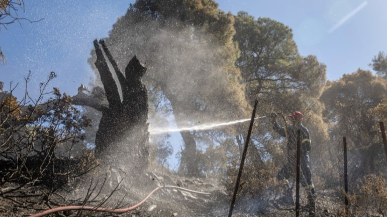 Σε ύφεση η πυρκαγιά στα Γεράνεια Όρη