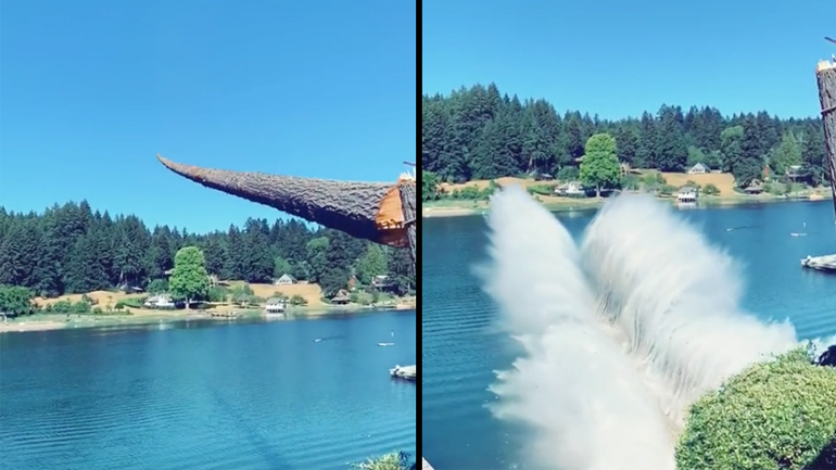 Κοπή ψηλού δέντρου σε αργή κίνηση