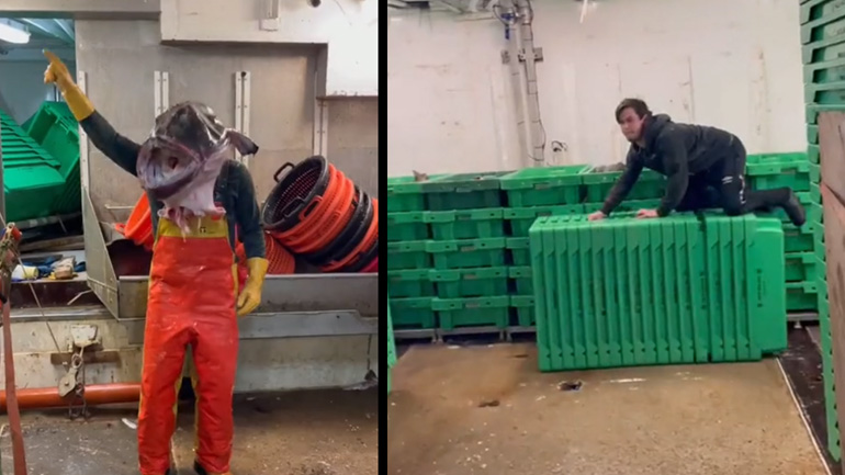 Η ζωή ενός θαλασσόλυκου