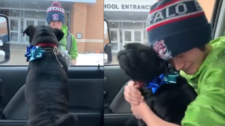 Ένα παιδί συναντά τον χαμένο σκύλο του Ένα παιδί συναντά τον χαμένο σκύλο του