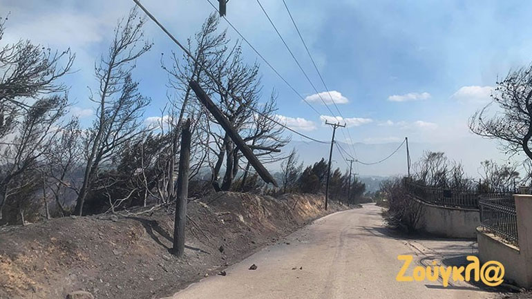 Γεράνεια Όρη: Η σημαντικότερη δασική πυρκαγιά την τελευταία δεκαετία Γεράνεια Όρη: Η σημαντικότερη δασική πυρκαγιά την τελευταία δεκαετία