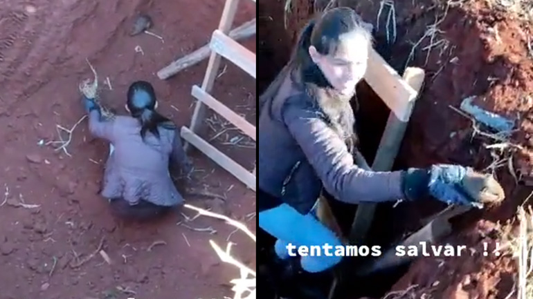 Γυναίκα σώζει ένα τρωκτικό που έπεσε σε μια τρύπα