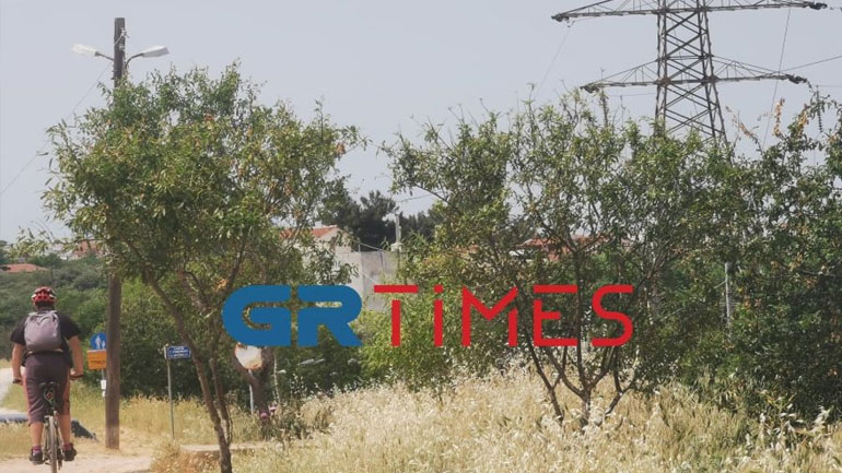 Καλώδια «κίνδυνος-θάνατος» στην Πυλαία