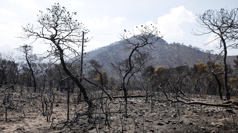 Περιφερειακό Συμβούλιο Αττικής: Να κηρυχτεί άμεσα αναδασωτέα η περιοχή των Γερανείων