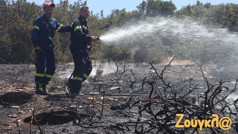 Υπό έλεγχο η πυρκαγιά στο δάσος της Λαυρεωτικής
