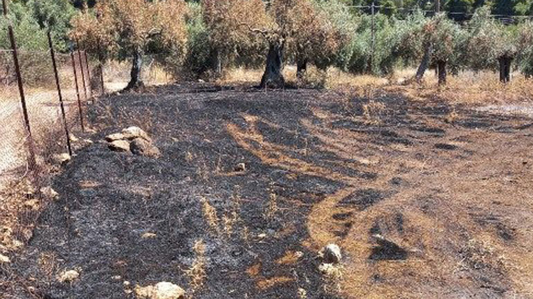 Το «σημείο μηδέν» της καταστροφικής πυρκαγιάς στον Σχίνο Κορινθίας