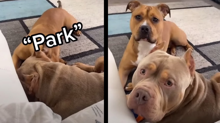 Η μαγική λέξη