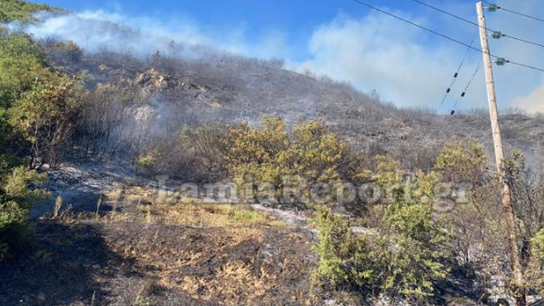 Σε ύφεση η φωτιά στη Δυτική Φθιώτιδα