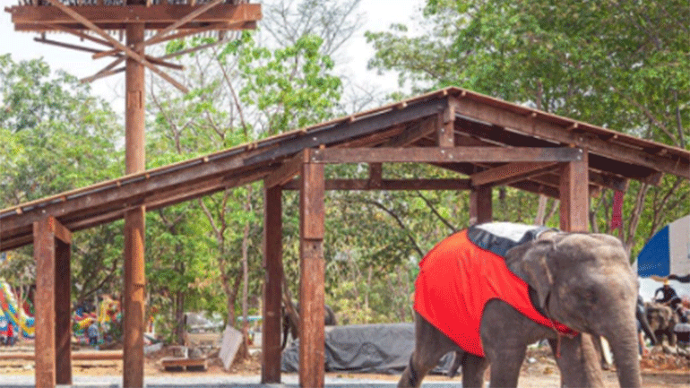 «Ελέφαντας» στη Μπιενάλε Αρχιτεκτονικής της Βενετίας