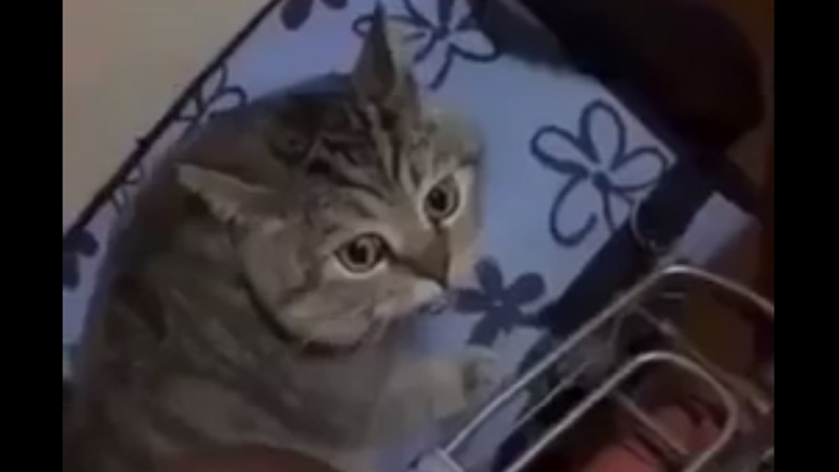 Ποιος άλλος συμφωνεί;