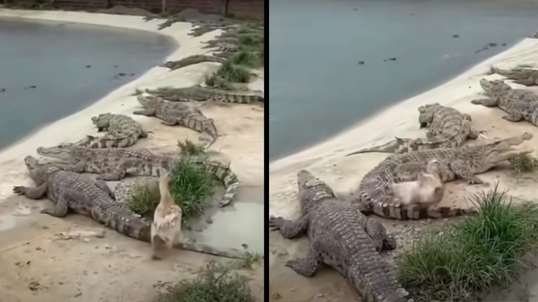 Όταν η τύχη είναι με το μέρος σου
