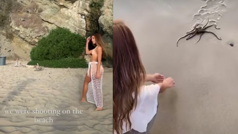  Xταπόδι διακόπτει φωτογράφιση σε παραλία