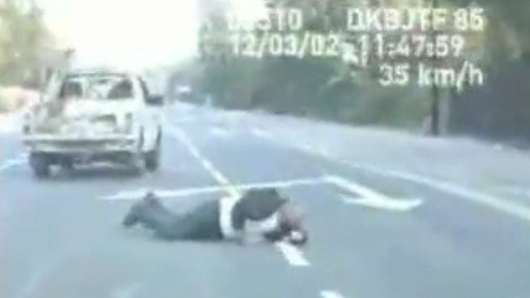 Τρελή καταδίωξη