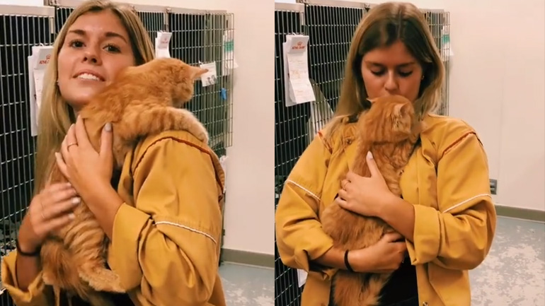 Γάτα υιοθετεί μια γυναίκα