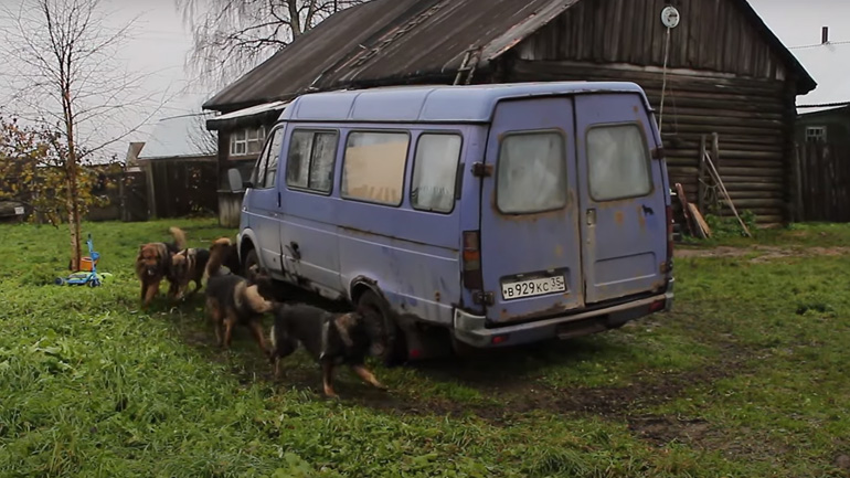 Πώς να κλωνοποιήσετε τον σκύλο σας