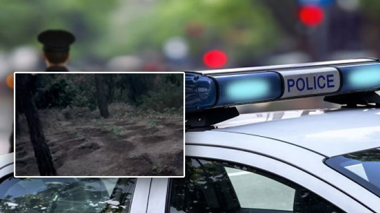 Εντοπίστηκε φυτεία κάνναβης στους Αγίους Θεοδώρους Κορινθίας – Συνελήφθησαν δύο άτομα