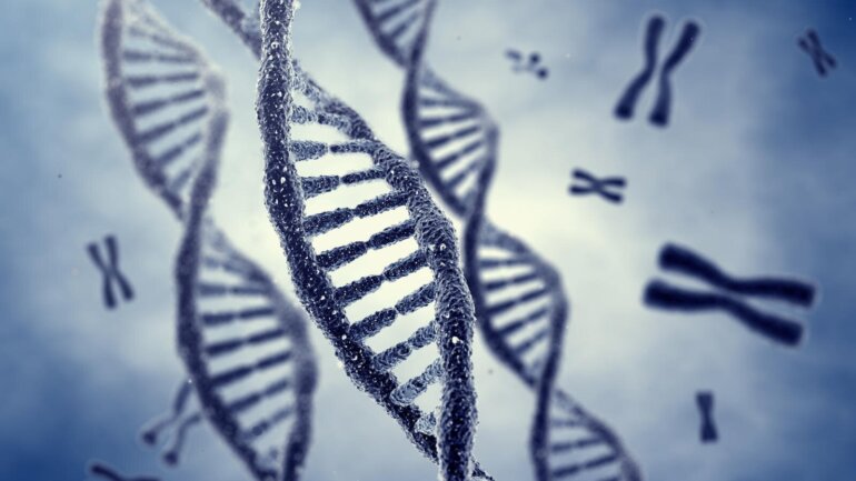 Τα γονίδια καθορίζουν πόσο θα ζήσουμε; Τι λέει η επιστήμη