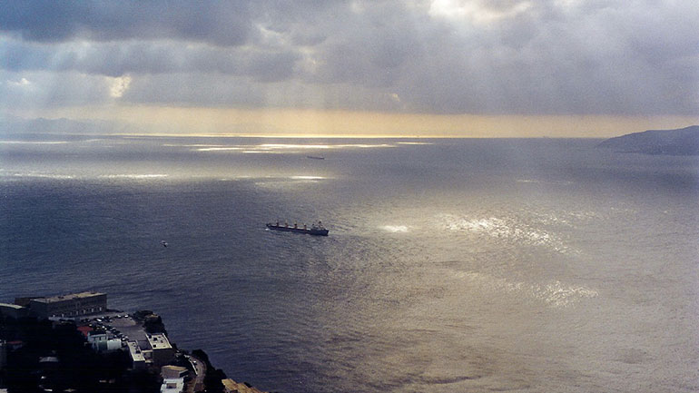 Η βιοποικιλότητα της Μεσογείου καταρρέει – Τι αποκαλύπτει γαλλική έρευνα