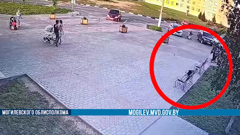 Κοράκι κλέβει το πορτοφόλι ενός κλέφτη