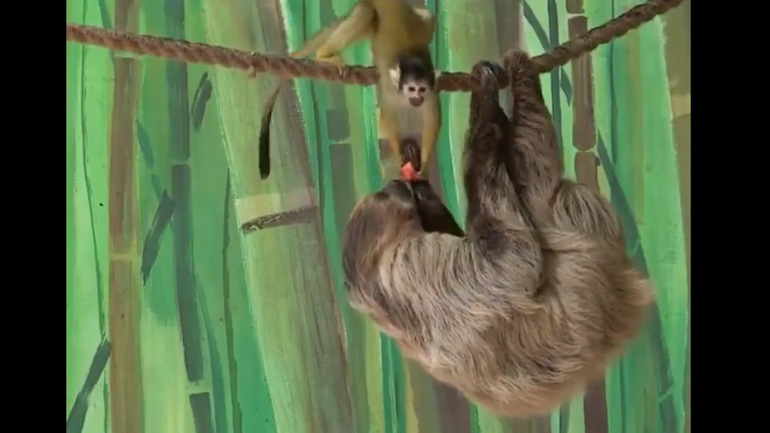 Δώσ΄ το πίσω!