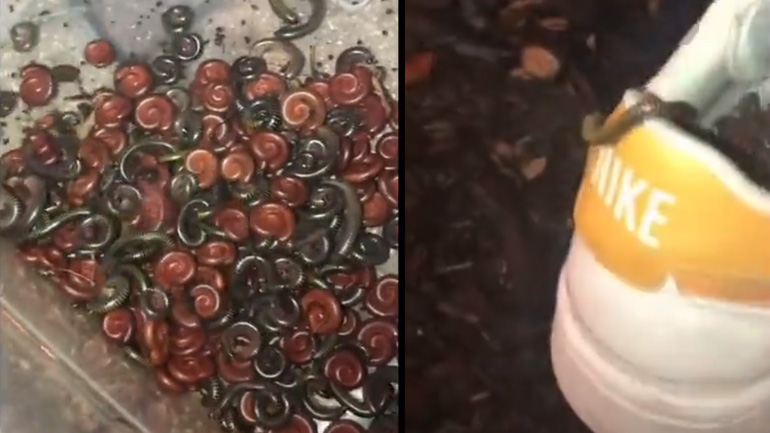 Αφήνοντας τα παπούτσια στην αυλή