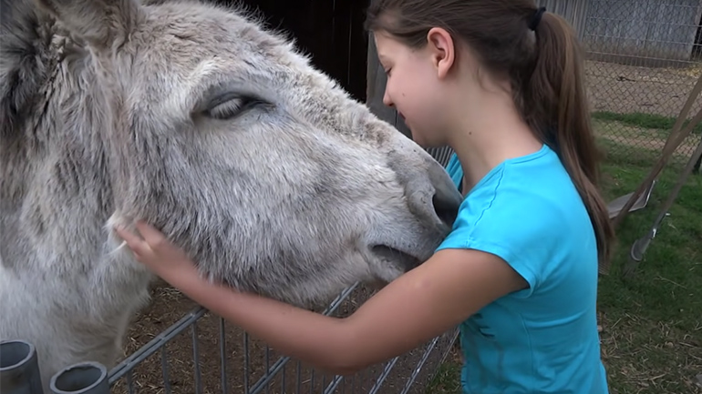 Γάιδαρος συναντά τη φίλη του 