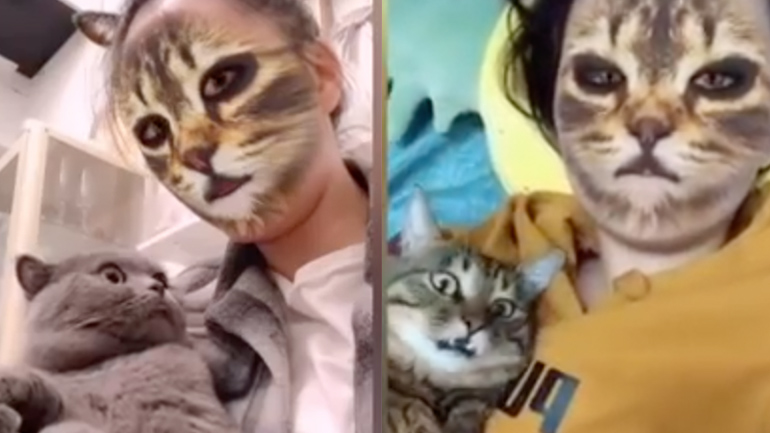 Γάτες βλέπουν τους ιδιοκτήτες τους με φίλτρο