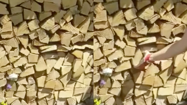 Μυστικό ψυγείο 