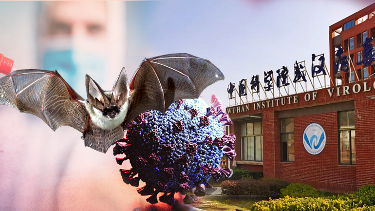 Αποκαλυπτικό βίντεο με νυχτερίδες σε κινεζικό εργαστήριο