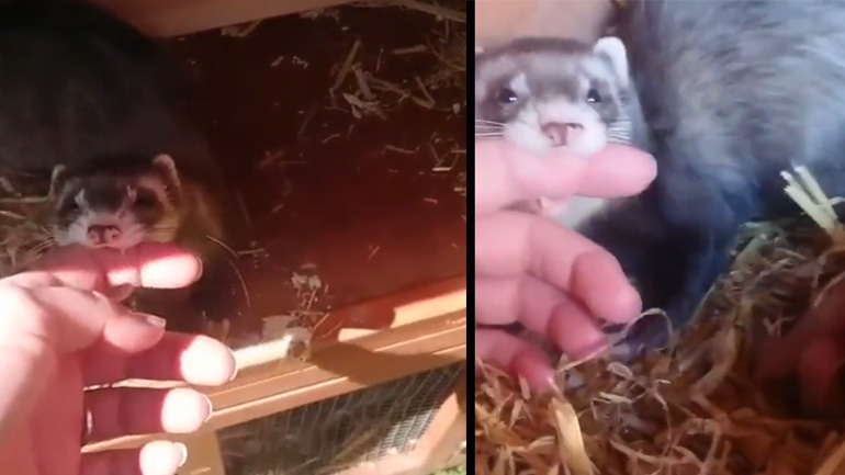 Έλα να σου δείξω κάτι!