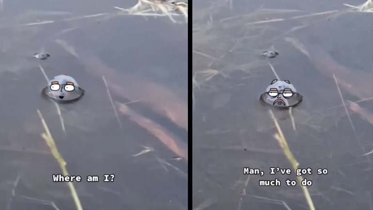 Η ζωή μιας φυσαλίδας