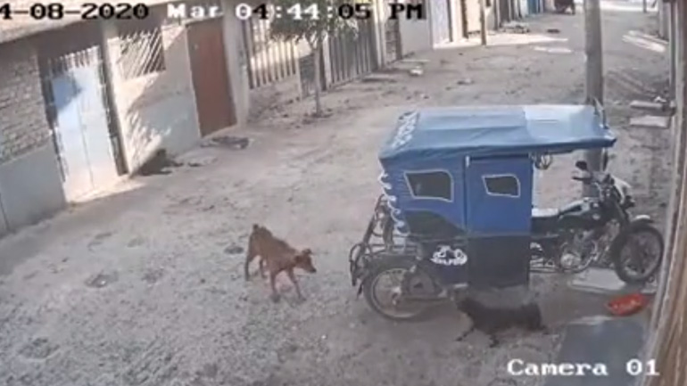 Πουλάς τσαμπουκά;