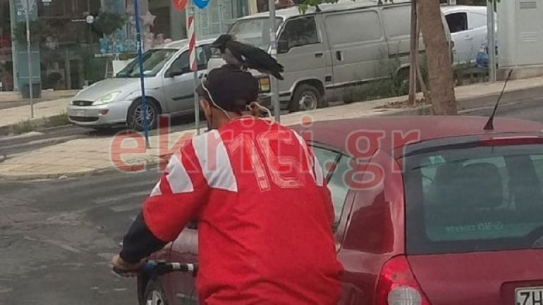 Ηράκλειο: Έχει το κοράκι του… κορόνα στο κεφάλι του