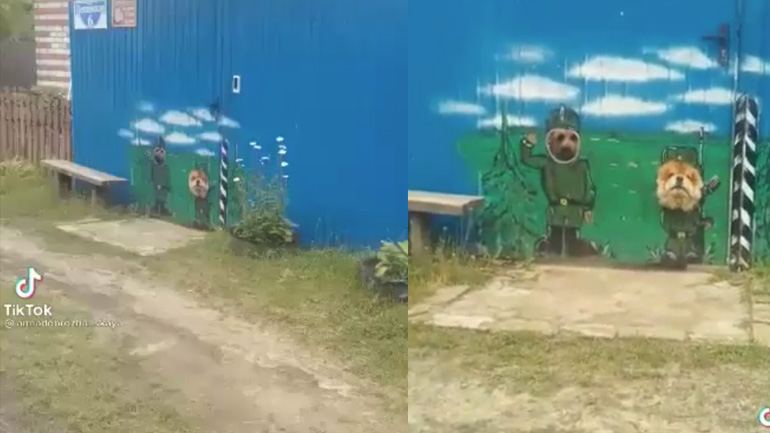 Δύο άγριοι φρουροί!