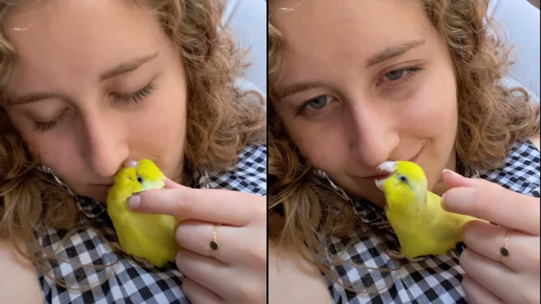 Aγκαλιές με ένα παπαγαλάκι