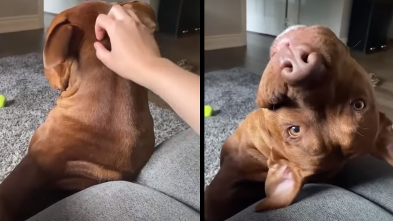 Γιατί σταματάς;