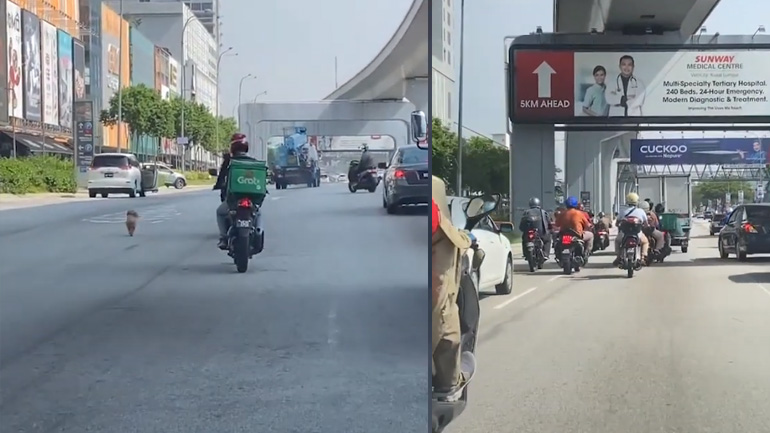 Διάσωση σκύλου από αυτοκινητόδρομο