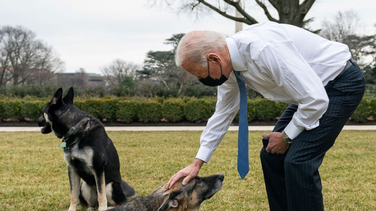 Το ζεύγος Μπάιντεν ανακοίνωσε τον θάνατο του «πρώτου σκύλου» Τσαμπ