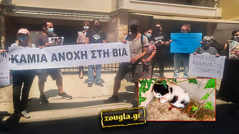 Νέα Σμύρνη: Γυναίκα μαχαίρωσε δύο γατάκια και συνελήφθη – Διαμαρτυρία στο σπίτι της από πολίτες Νέα Σμύρνη: Γυναίκα μαχαίρωσε δύο γατάκια και συνελήφθη – Διαμαρτυρία στο σπίτι της από πολίτες