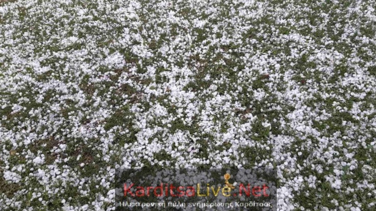 Έντονα καιρικά φαινόμενα στην Καρδίτσα με χαλαζόπτωση και πτώσεις δέντρων