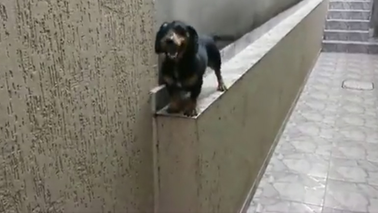 Και πώς γυρνάω πίσω;