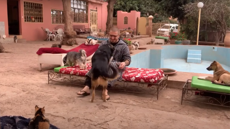 Ένας άνδρας επισκέπτεται ένα καταφύγιο ζώων