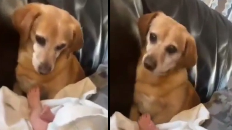 Ήρθε η ώρα να αλλάξεις πάνα στο μωρό!