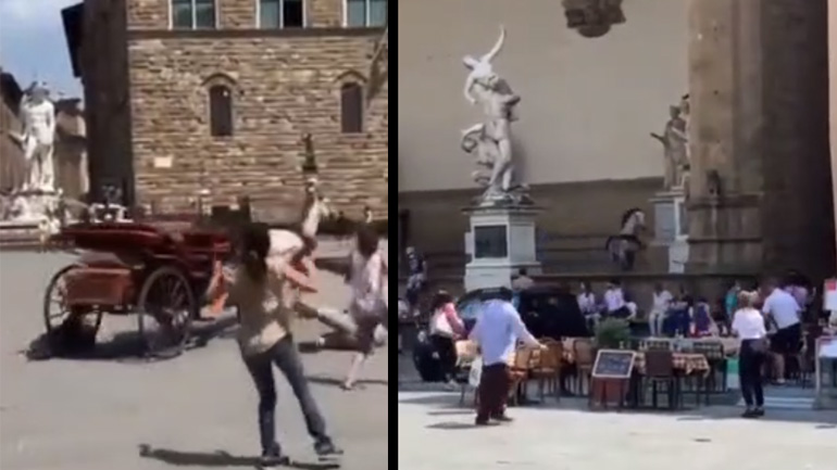 Άλογο αποφασίζει να επαναστατήσει