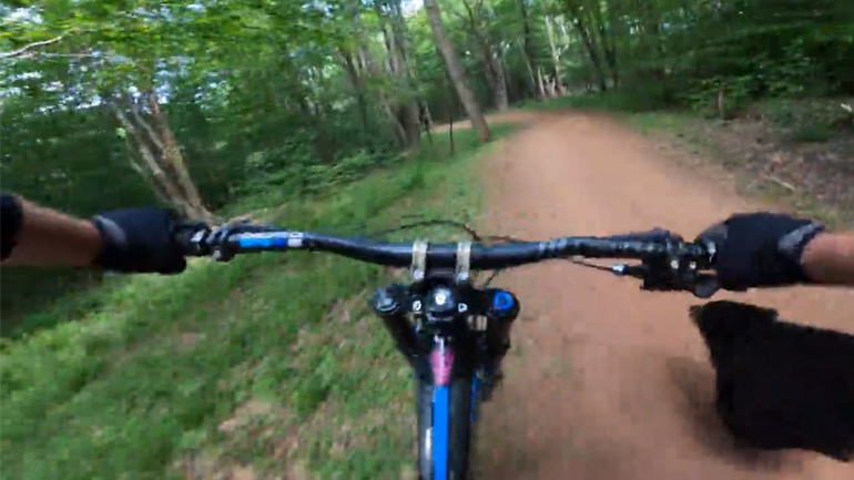 Ποδηλάτης vs αρκούδα